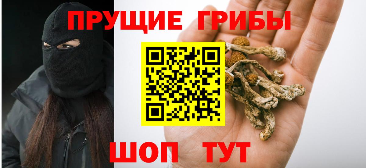 Псилоцибиновые грибы MAGIC MUSHROOMS  Вход с VPN  Галлюциногенные грибы мухоморы  Новоуральск 